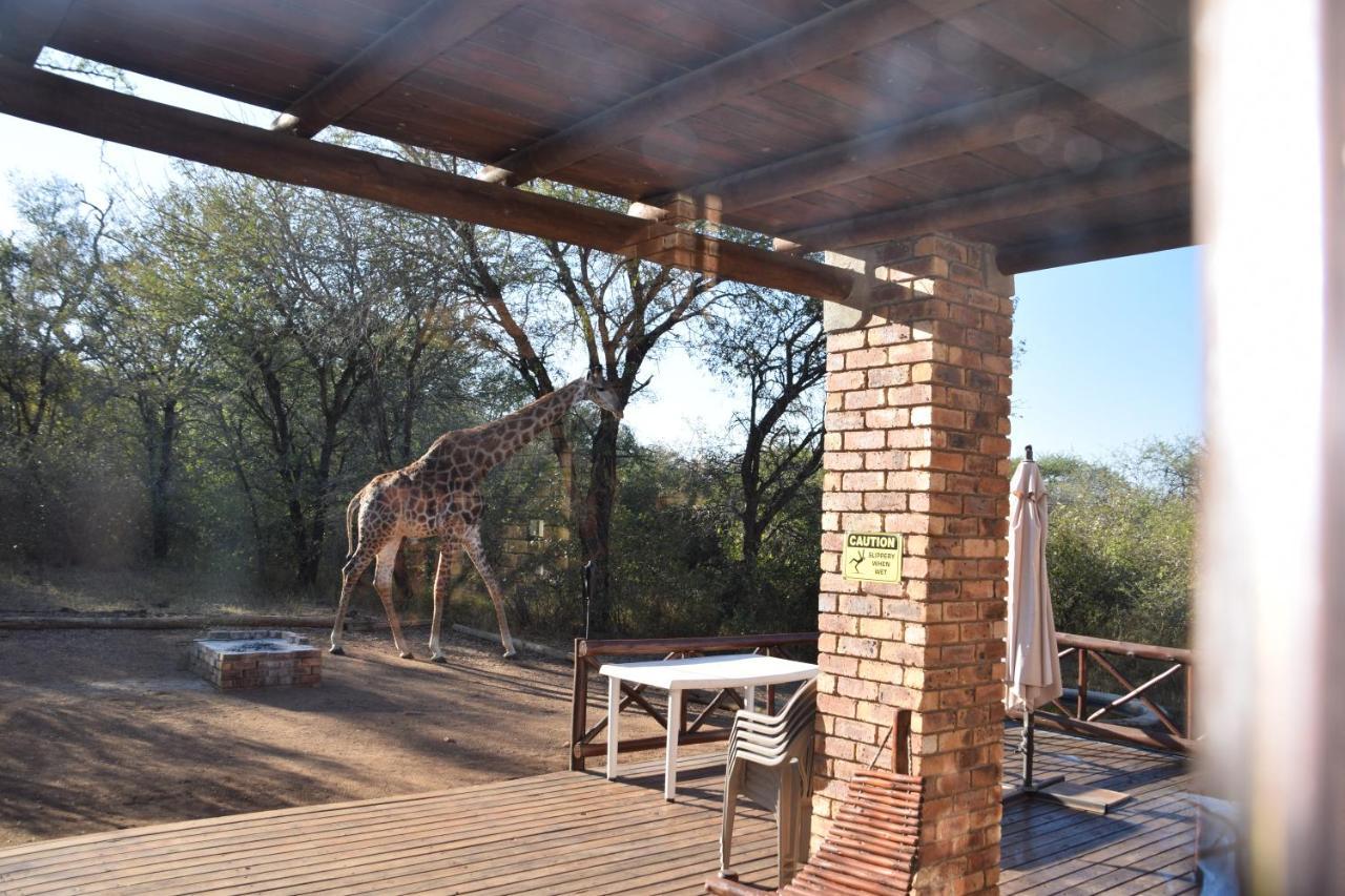 Khumbula Iafrica 2 Villa Marloth Park Exterior foto