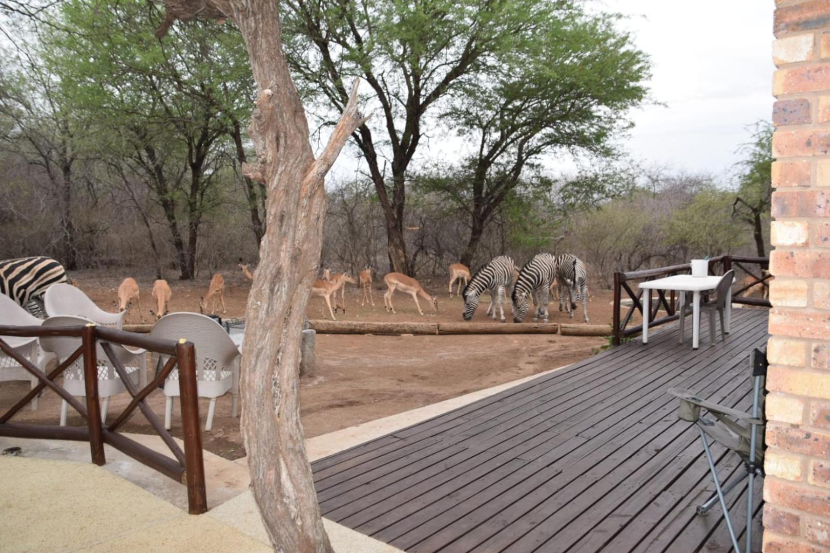 Khumbula Iafrica 2 Villa Marloth Park Exterior foto